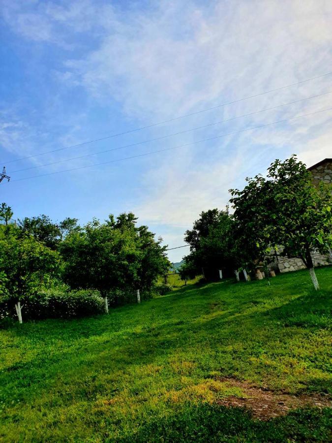 Guest House Ijevan'S Garden Eksteriør bilde