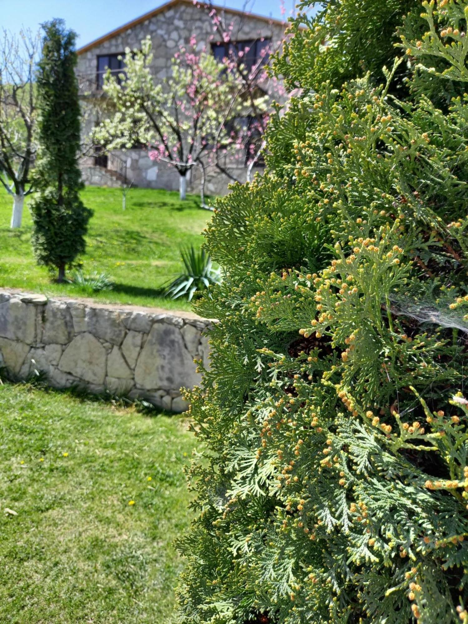 Guest House Ijevan'S Garden Eksteriør bilde