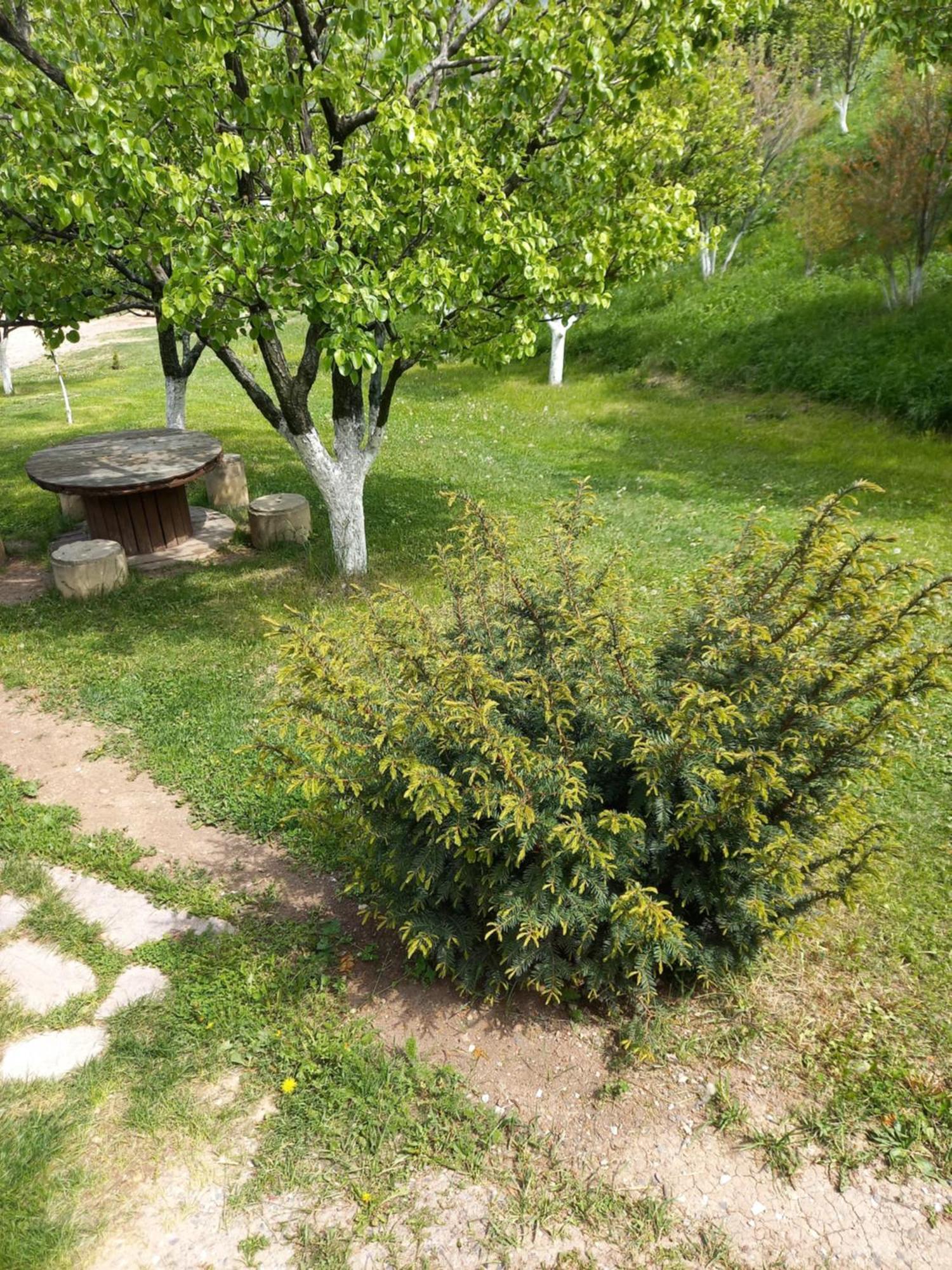 Guest House Ijevan'S Garden Eksteriør bilde